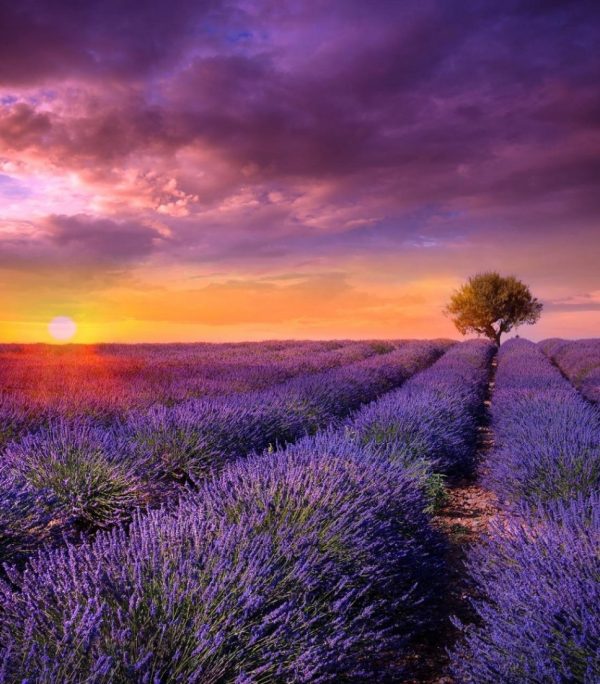 Un coucher de soleil en Provence