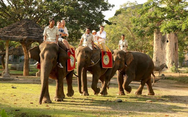 Bali Safari & Marine Park- Elephant back Safari