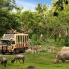 Bali Safari & Marine Park- Junggle Hopper Package