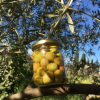Récoltez et transformez vos olives
