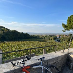 La Méditerranée à vélo au départ d'Avignon