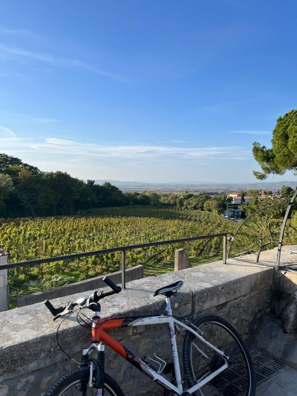 Cycling the Mediterranean from Avignon