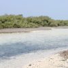 Holidays in Ras Mohammed NP with Camping (3 nights)