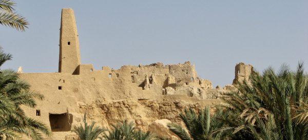 Unveiling Ancient Wonders Alexandria to Siwa Oasis 10